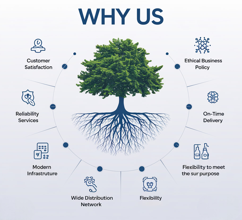 Why Choose Us